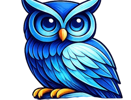 Blue Owl Pools